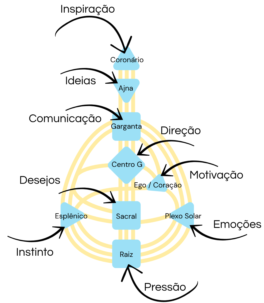 Bodygraph dos 9 Centros de Human Design